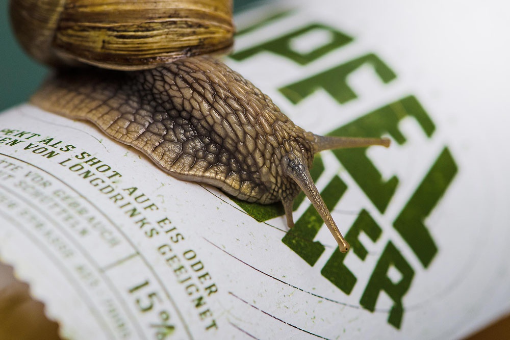 品牌包装形象设计 品牌包装形象设计