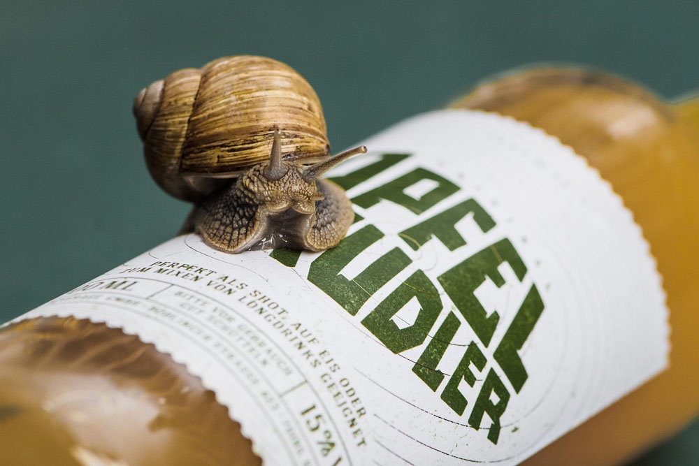 高端品牌logo设计 高端品牌logo设计