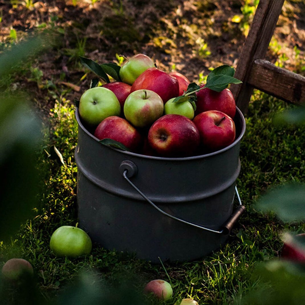 果汁品牌视觉设计 果汁品牌视觉设计