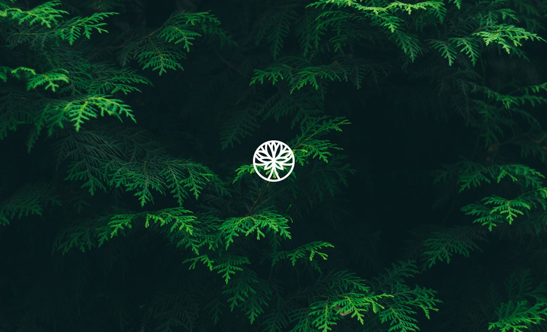 国外logo设计大全 国外logo设计大全